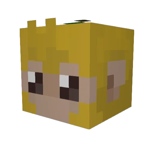 tiaretaiporutu Minecraft avatar head, 3D render