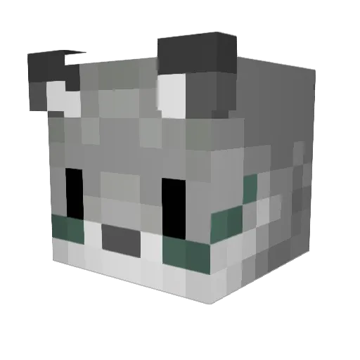 tiberius58 Minecraft avatar head, 3D render
