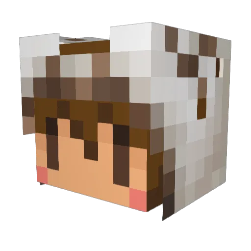 tibisuke23 Minecraft avatar head, 3D render
