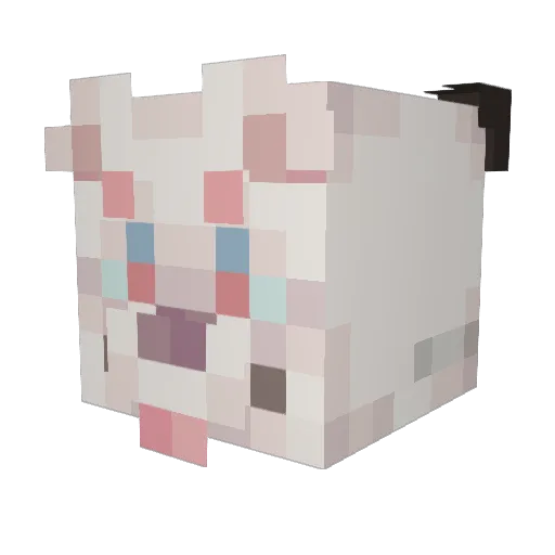 tiburau Minecraft avatar head, 3D render