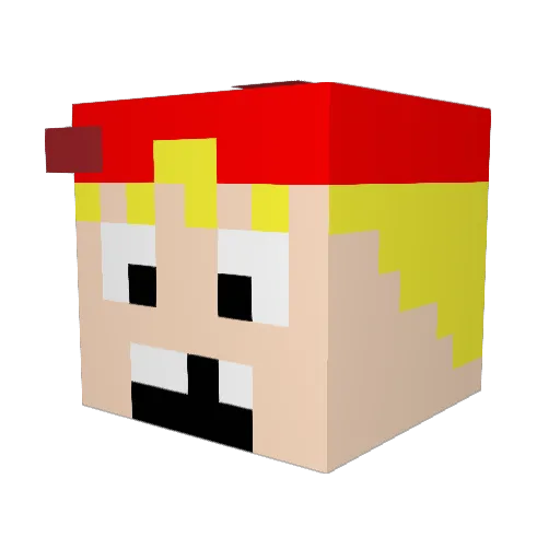 tic4 Minecraft avatar head, 3D render