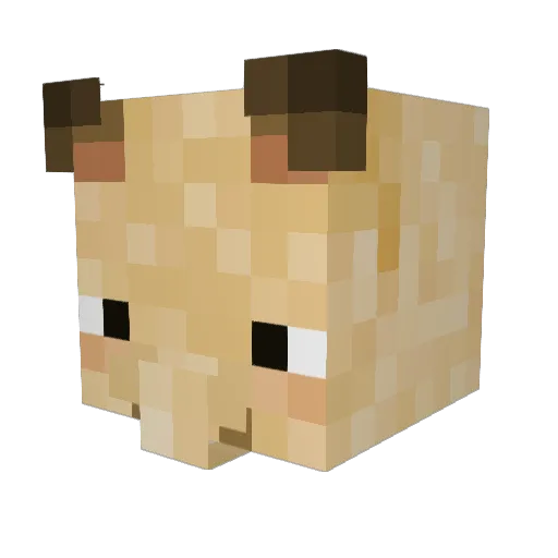 tichilol Minecraft avatar head, 3D render