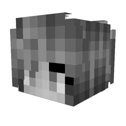 tici Minecraft avatar head, 3D render