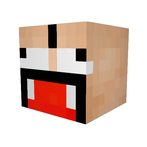 ticki243 Minecraft avatar head, 3D render