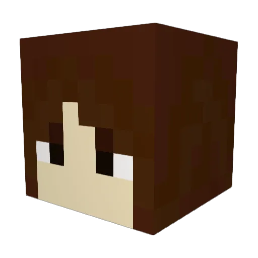 ticklishPanda43 Minecraft avatar head, 3D render