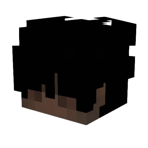 tickrate60 Minecraft avatar head, 3D render