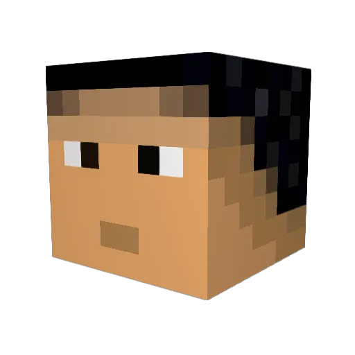 tictac713 Minecraft avatar head, 3D render