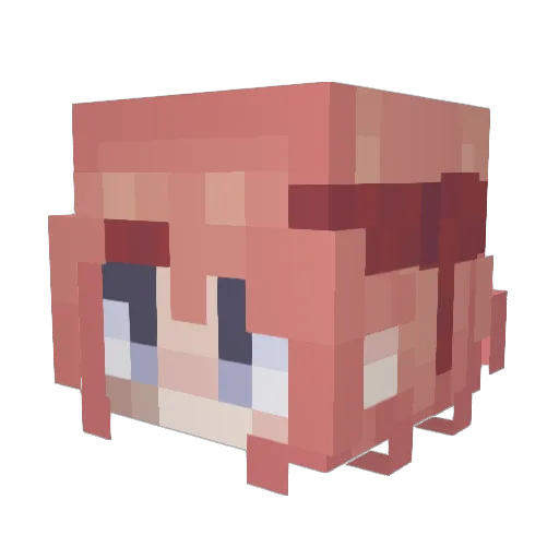tidalrushhh Minecraft avatar head, 3D render