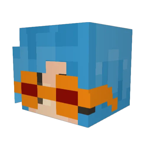 tidd1es Minecraft avatar head, 3D render