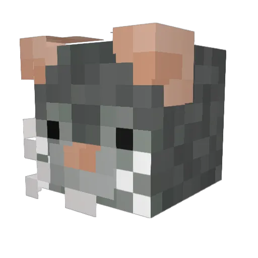 tiddlemouse19 Minecraft avatar head, 3D render