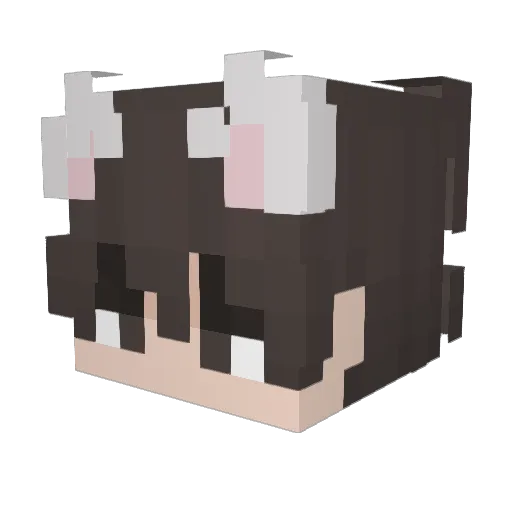 tiddles76 Minecraft avatar head, 3D render