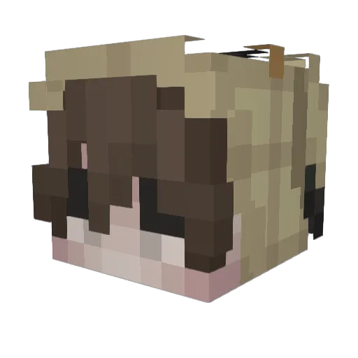 tiddlesan Minecraft avatar head, 3D render