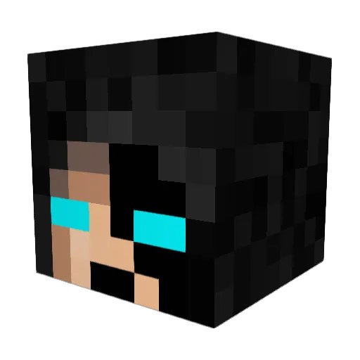 tide_8 Minecraft avatar head, 3D render