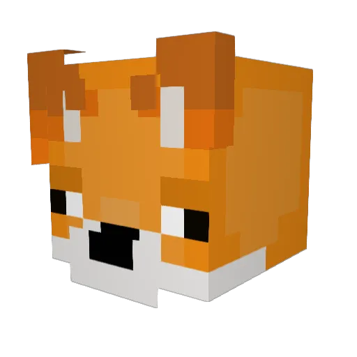 tider_ Minecraft avatar head, 3D render