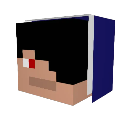 tidus2233 Minecraft avatar head, 3D render