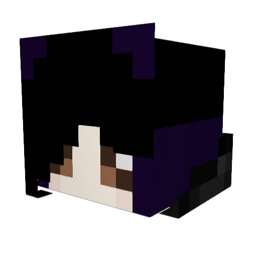 tidycat228 Minecraft avatar head, 3D render