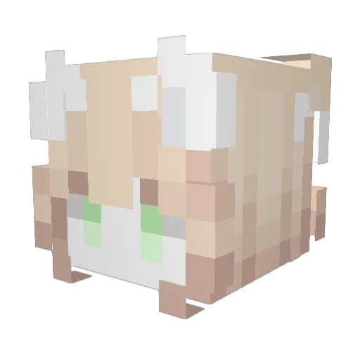 tidyu0 Minecraft avatar head, 3D render