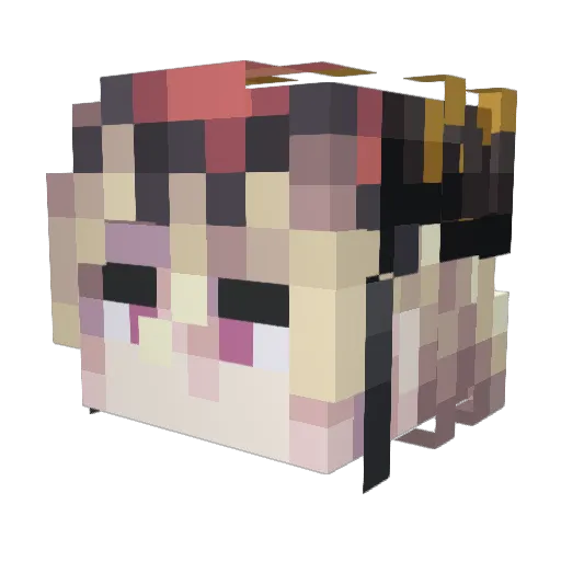 tif667 Minecraft avatar head, 3D render