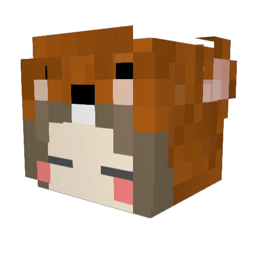 tiffany0725wang Minecraft avatar head, 3D render