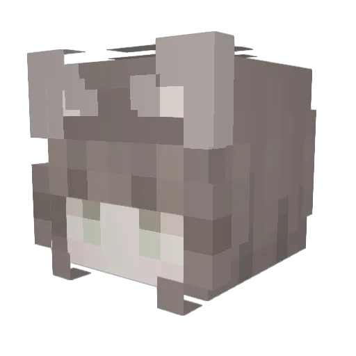 tiffinnie Minecraft avatar head, 3D render