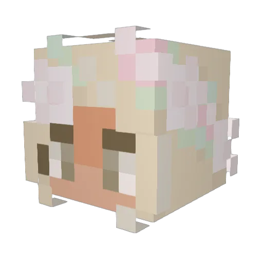 tiffy_2009 Minecraft avatar head, 3D render