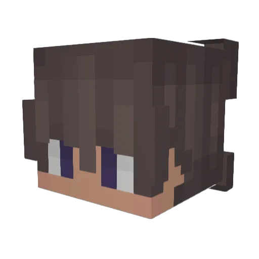 tifoli Minecraft avatar head, 3D render