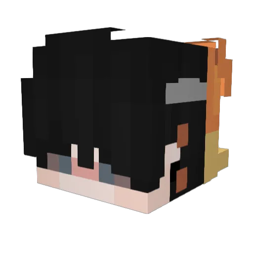 tigathechief Minecraft avatar head, 3D render