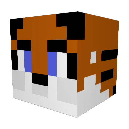 tiger80q Minecraft avatar head, 3D render