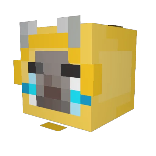 tiger_banana Minecraft avatar head, 3D render