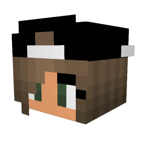 tigerballs07 Minecraft avatar head, 3D render