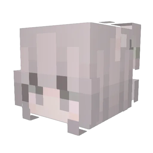 tigerbon Minecraft avatar head, 3D render