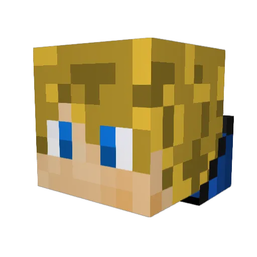 tigerboo123 Minecraft avatar head, 3D render