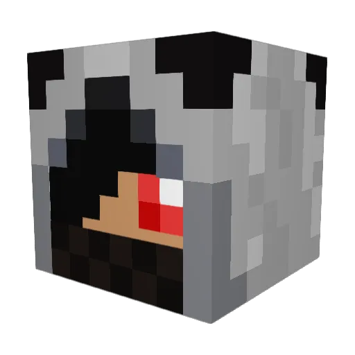 tigerboy414 Minecraft avatar head, 3D render
