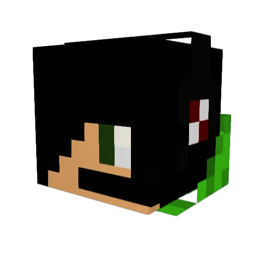 tigerboy5225 Minecraft avatar head, 3D render