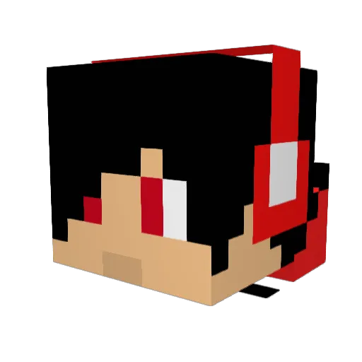 tigercat1108 Minecraft avatar head, 3D render