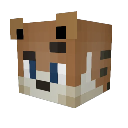 tigerchris2000 Minecraft avatar head, 3D render