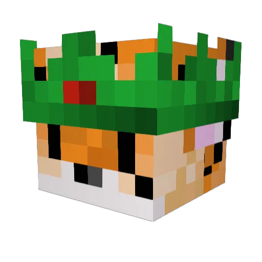 tigerfan13 Minecraft avatar head, 3D render