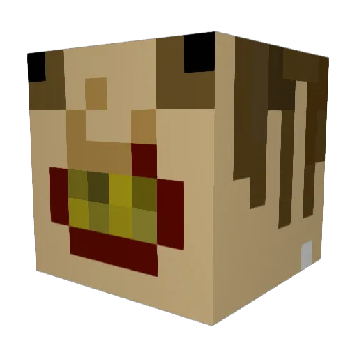 tigerfinn584 Minecraft avatar head, 3D render