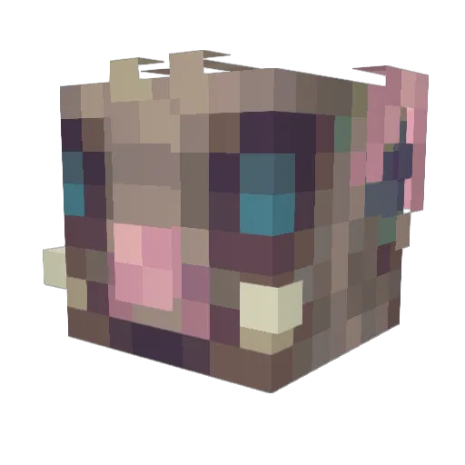 tigerlilly445 Minecraft avatar head, 3D render