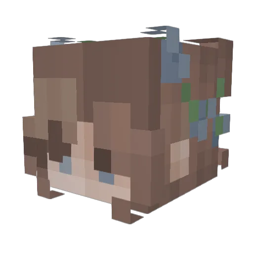 tigerlily_777 Minecraft avatar head, 3D render