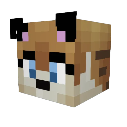 tigerstripe2427 Minecraft avatar head, 3D render