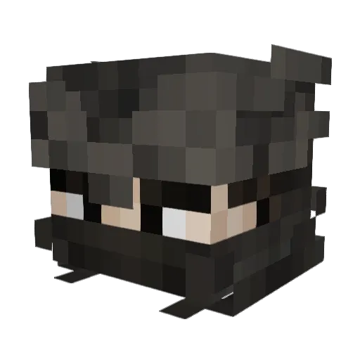 tiggle2 Minecraft avatar head, 3D render