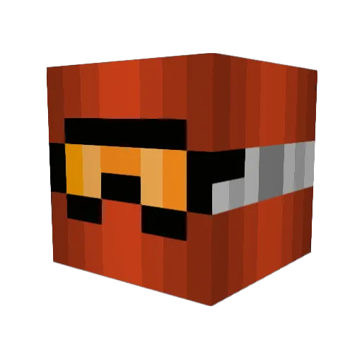 tiggles2000 Minecraft avatar head, 3D render