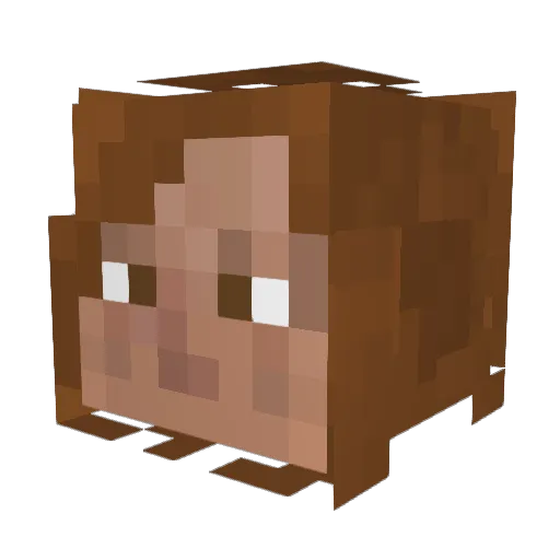 tiggus22 Minecraft avatar head, 3D render