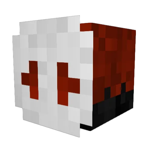 tigremat Minecraft avatar head, 3D render
