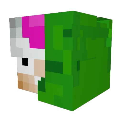 tigresito10 Minecraft avatar head, 3D render