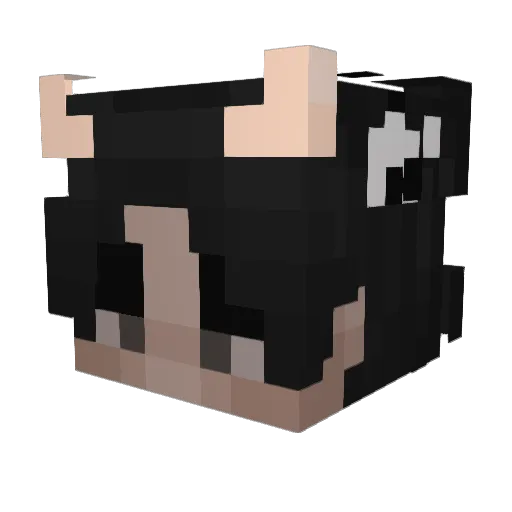 tigropepi Minecraft avatar head, 3D render