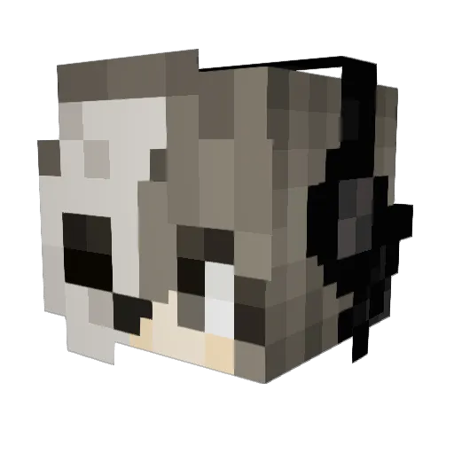 tigstheghost Minecraft avatar head, 3D render