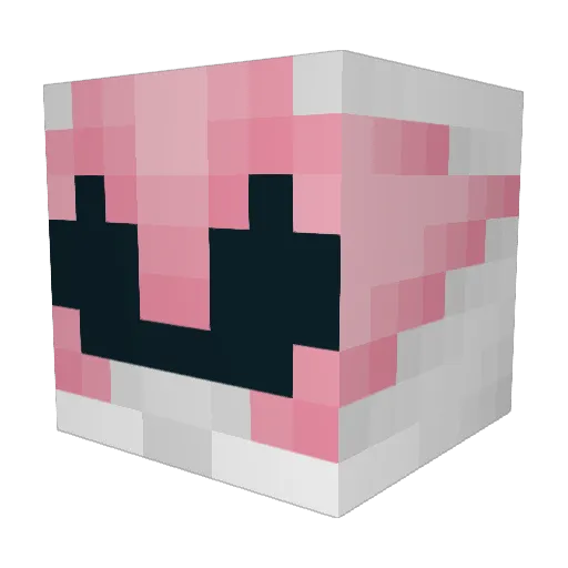 tigui222 Minecraft avatar head, 3D render