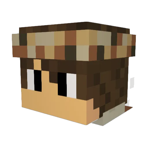 tigus07 Minecraft avatar head, 3D render
